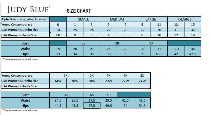 JUDY BLUE HI-WAISTED CACTUS EMBROIDERY CUT OFF plus size clearance SHORTS