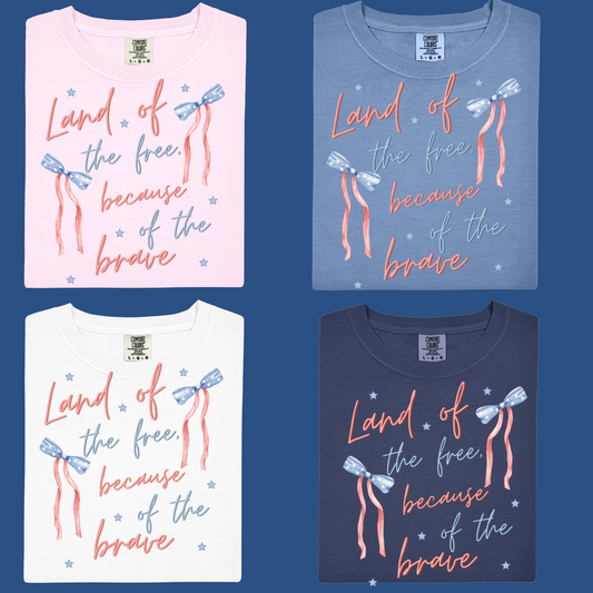 Land of the Free Because of the brave mutli color bow